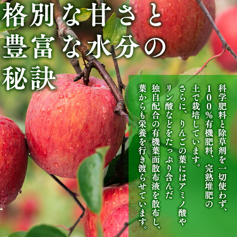 楽天市場】【ふるさと納税】4月より発送! 親子三代最高位の王林 約3kg