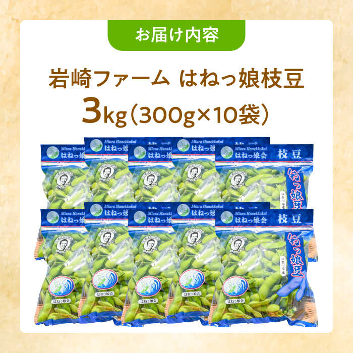 楽天市場】【ふるさと納税】【先行予約】【数量限定100セット】はねっ