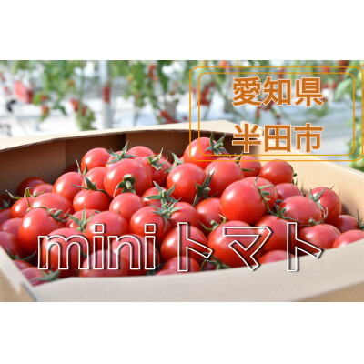 楽天市場】【ふるさと納税】HANDAミラトマト 3kg【配送不可地域：離島