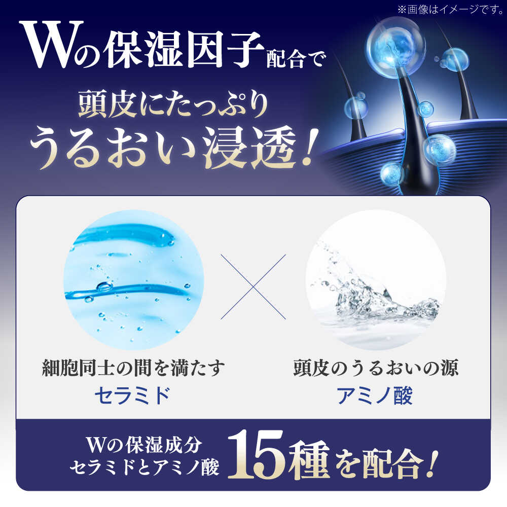 楽天市場】【ふるさと納税】チャップアップ CHAP UP 薬用 育毛剤 120ml