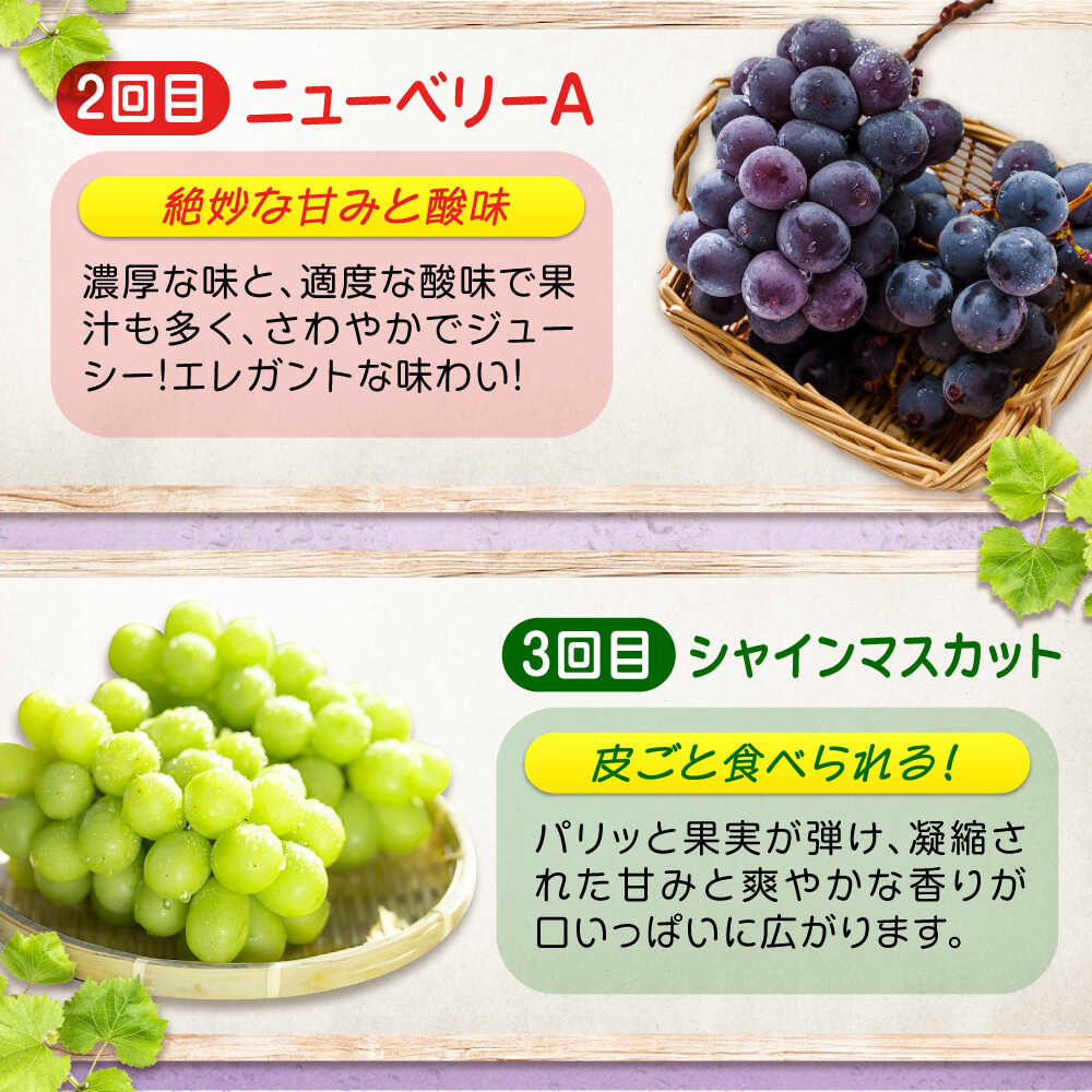 楽天市場】【ふるさと納税】【全3回定期便】期間限定 贅沢3種の沼隈