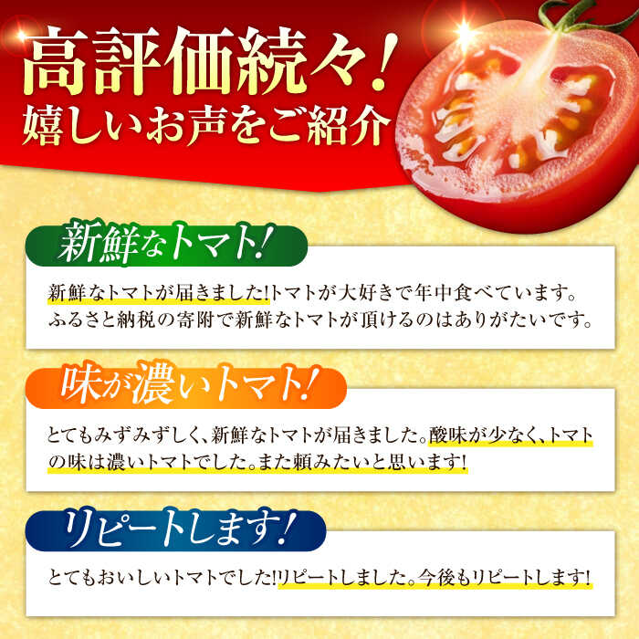 楽天市場】【ふるさと納税】【11月上旬〜翌年6月末まで順次発送