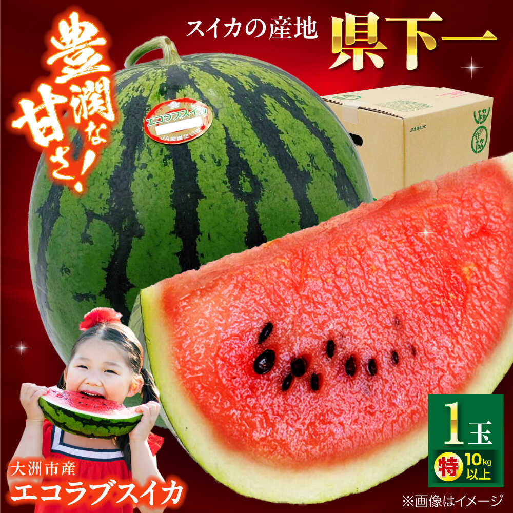 楽天市場】【ふるさと納税】スイカ【先行予約】【2026年5月下旬から