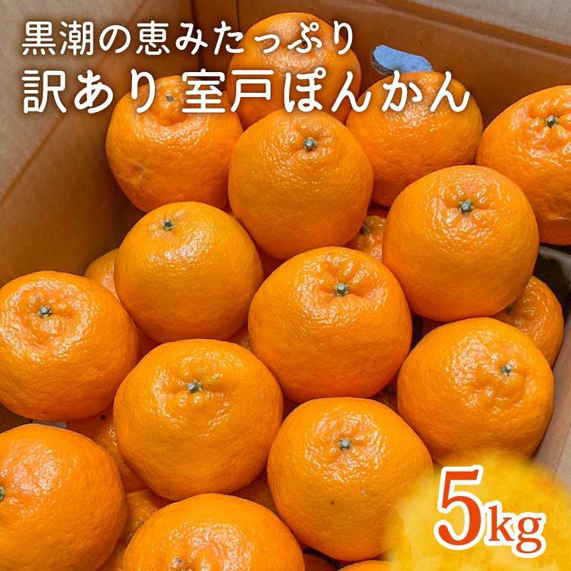 楽天市場】【ふるさと納税】【先行予約】優品 ぽんかん LLサイズ 5kg