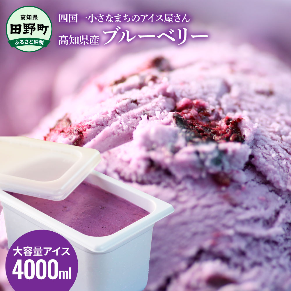 楽天市場】【ふるさと納税】松崎冷菓 大容量 アイス 4000ml