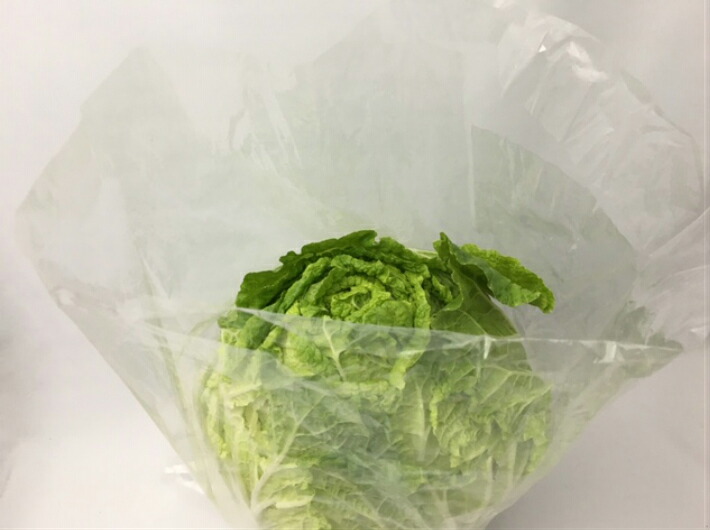 楽天市場】【5%OFF】【オリジナル】ボードン袋 OPPボードン #25 NO.17