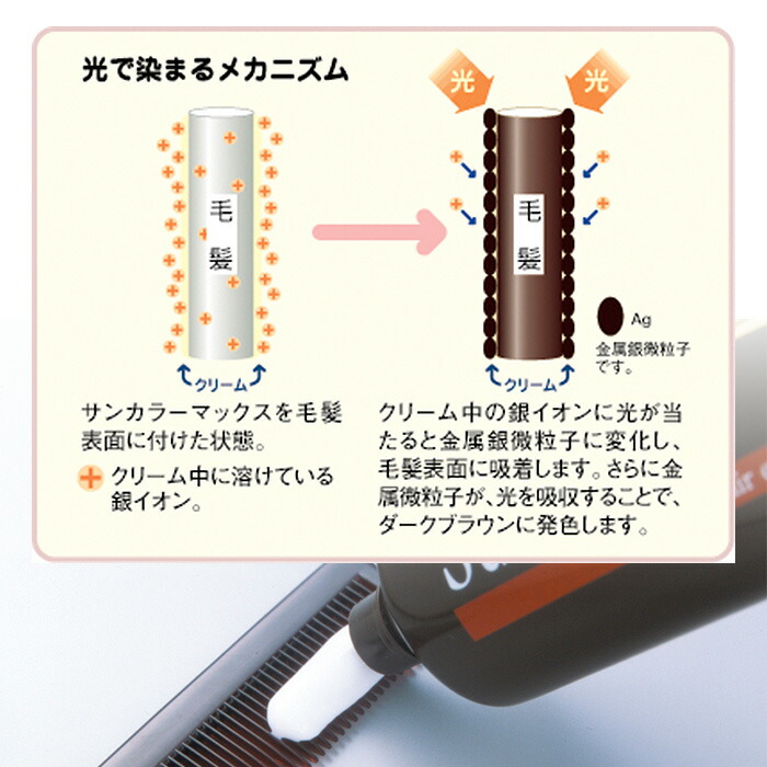 楽天市場】＼1日は店内全品10％OFFクーポン！／ サンカラーマックス