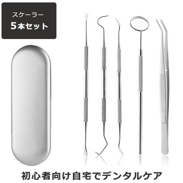 楽天市場】【 1000円ポッキリ！ 送料無料 】スケーラー 5点セット