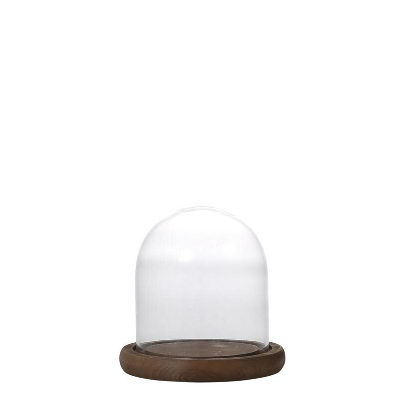 楽天市場】ガラスドーム ディスプレイ ドーム ガラスケース