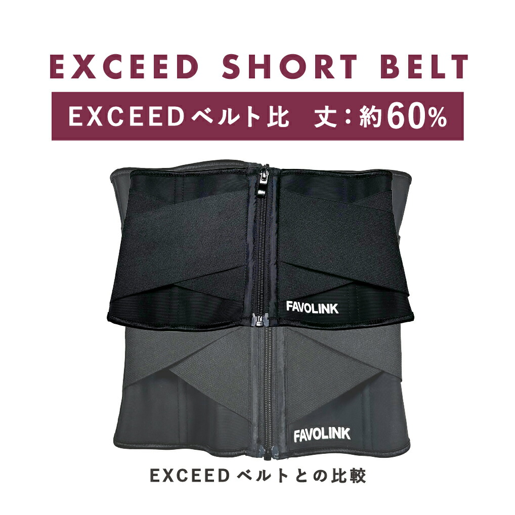 楽天市場】【ポイント10倍】【人気No.1】FAVOLINK EXCEED SHORTベルト