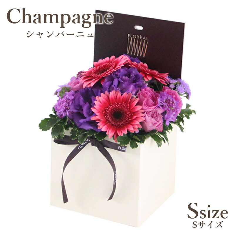 purple.jpg?fitin=720:720