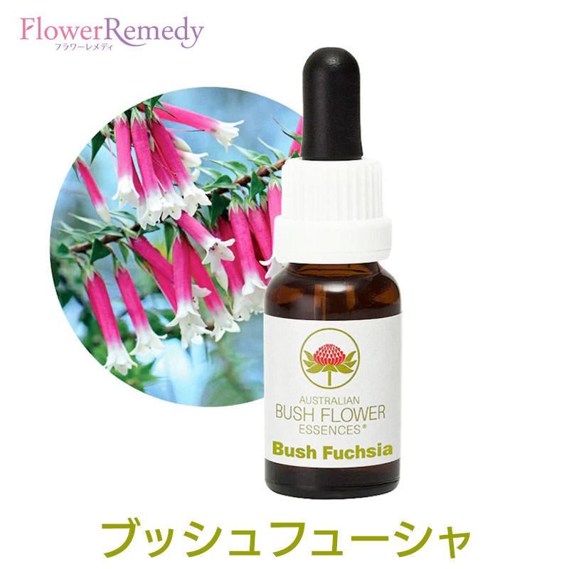 楽天市場】【楽天スーパーSALEポイント5倍＆最大2222円割引クーポン