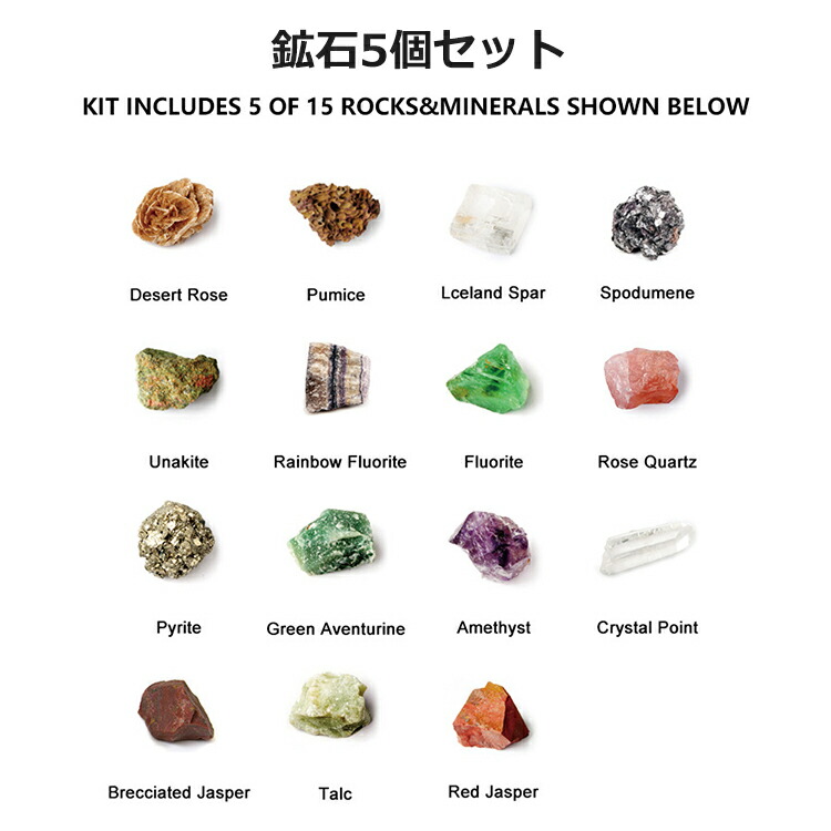 楽天市場】【クーポンで20％OFF】 化石発掘キット 5個セット 発掘 鉱物