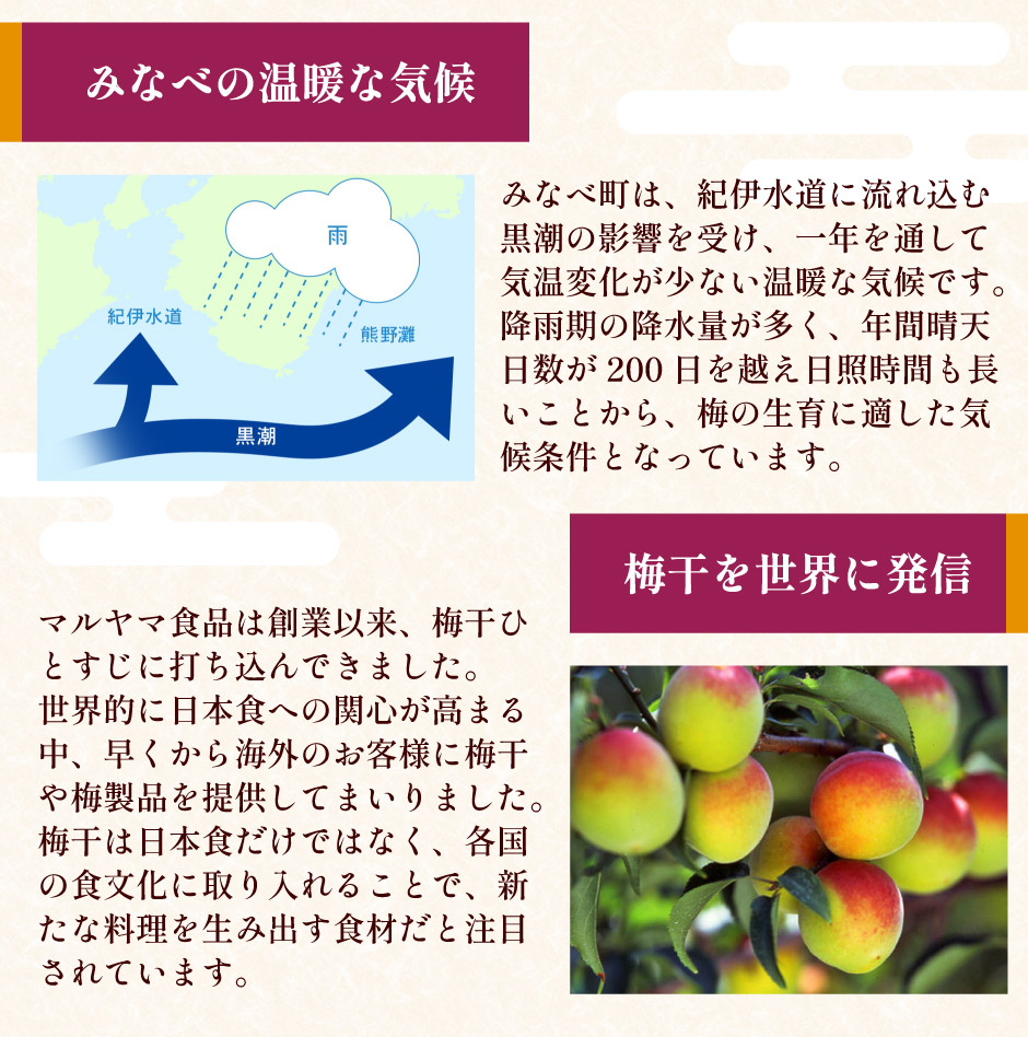 楽天市場】奏果383 14個セット ｜ 和歌山県 日高郡みなべ町 マルヤマ