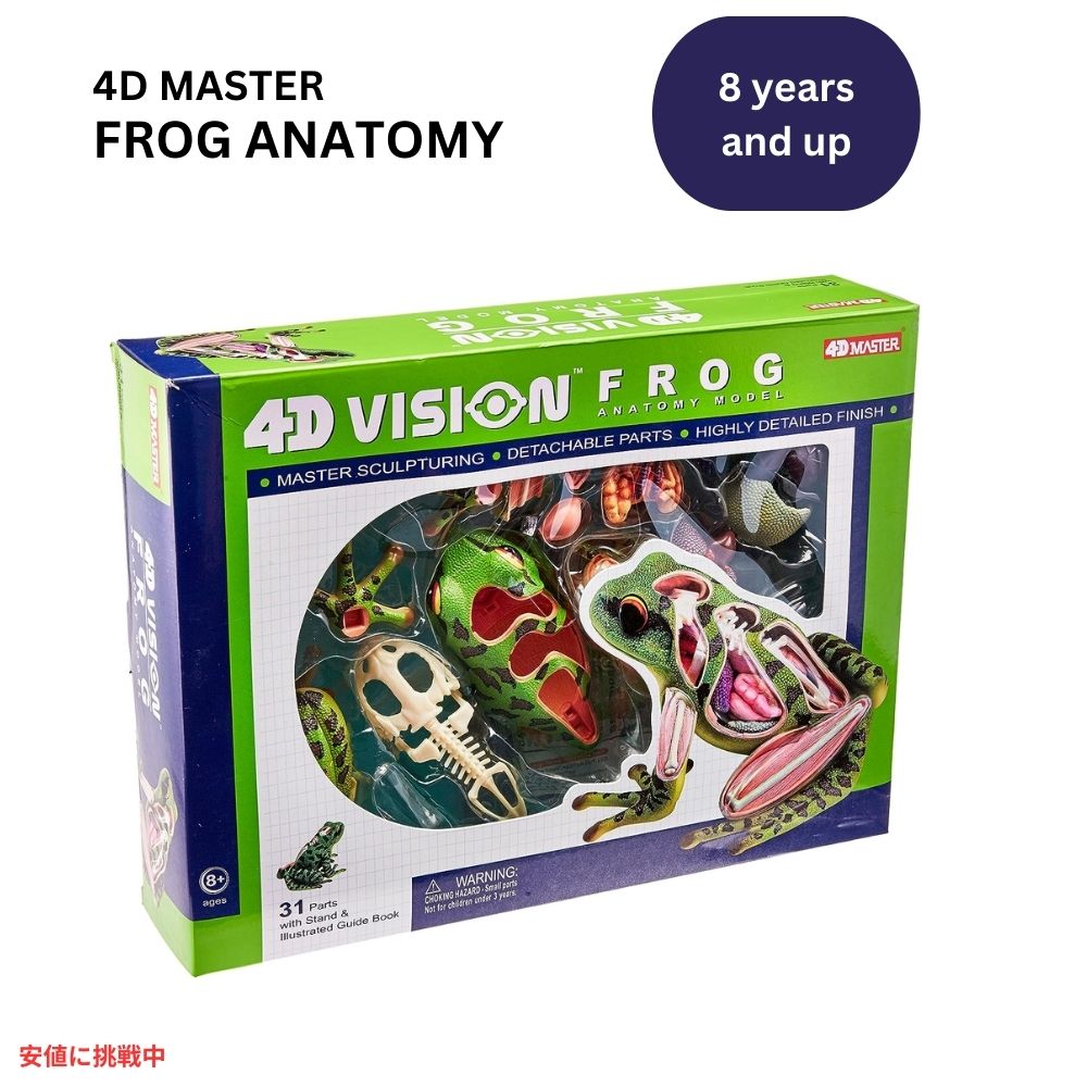 楽天市場】4Dビジョン カエル解剖模型 4D Vision Frog Anatomy Model