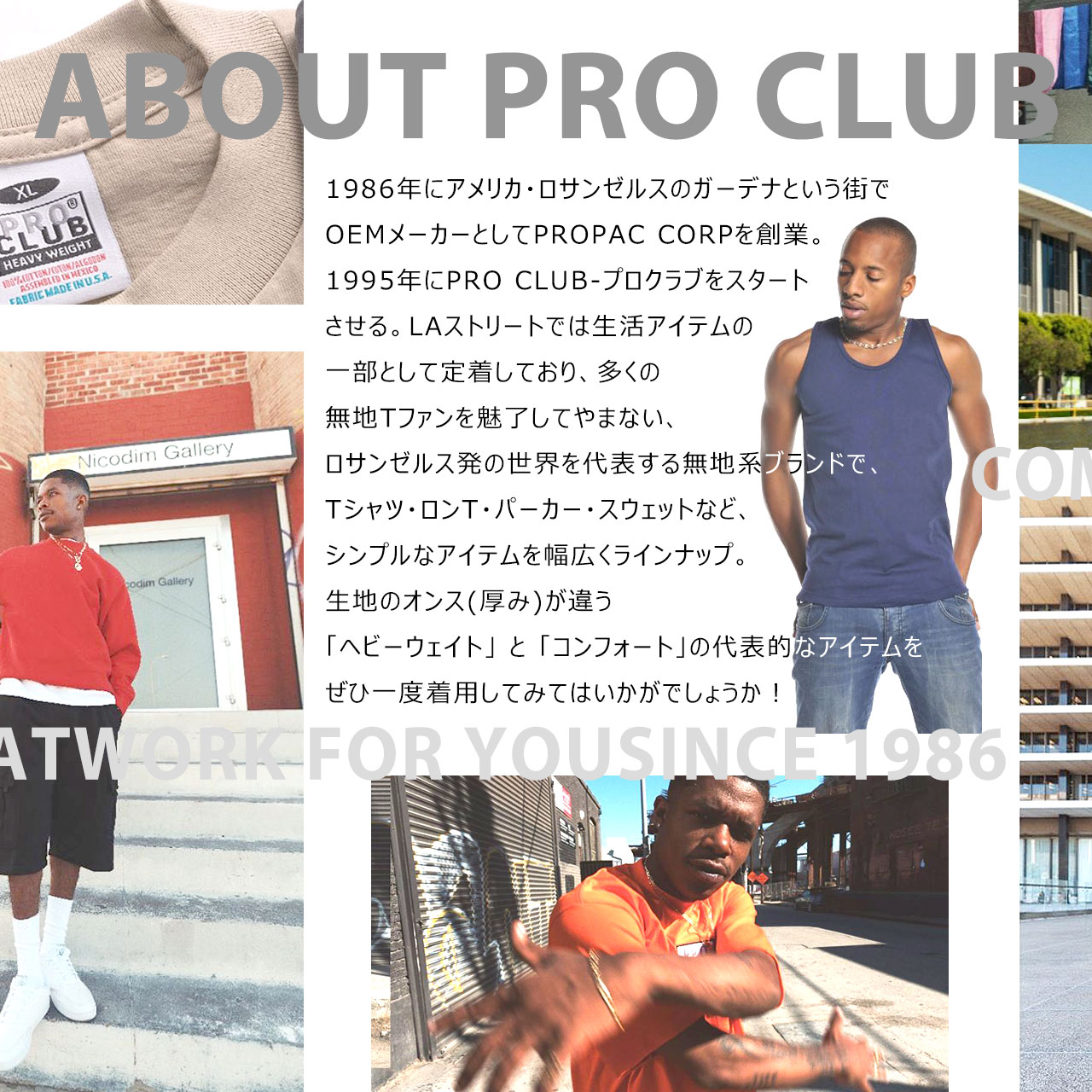 楽天市場】PRO CLUB プロクラブ トレーナー メンズ スウェット 裏起毛