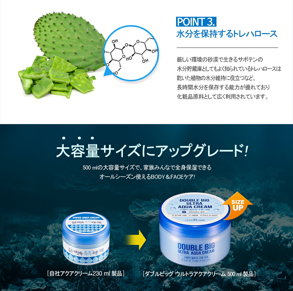 楽天市場】ダブルビッグ ウルトラアクアクリーム 500ml フェイス