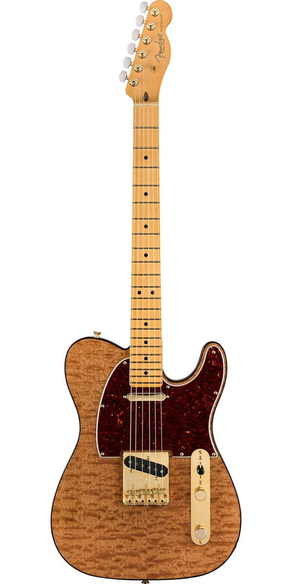 楽天市場】Fender USA（フェンダー）2019 Limited Edition Rarities