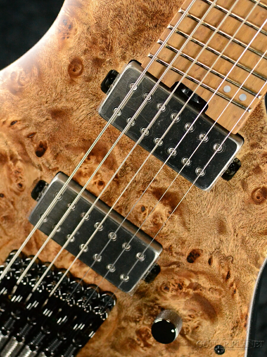 楽天市場】Ibanez QX527PB -ABS (Antique Brown Stained)- 新品