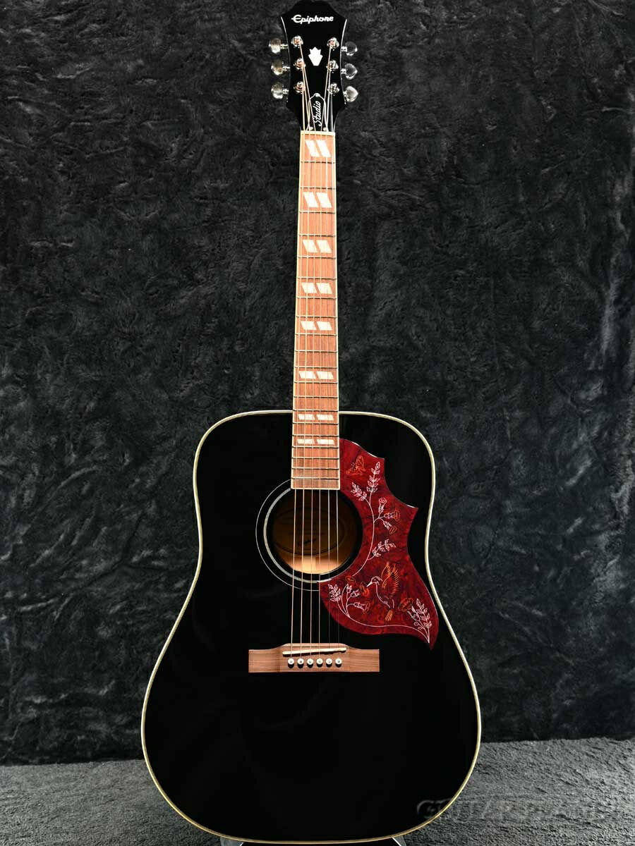 楽天市場】Epiphone Hummingbird Studio -Ebony Black 新品[エピフォン