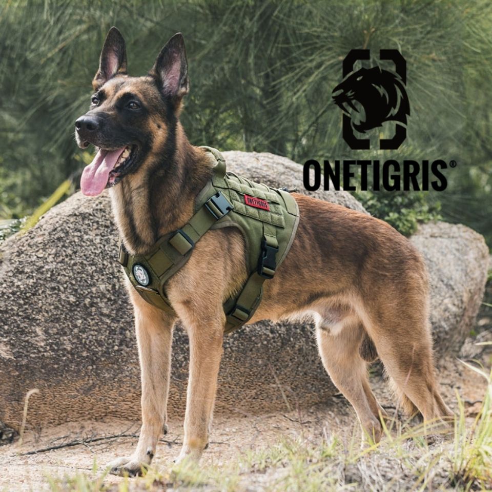 楽天市場】【全品15%OFF】 ハーネス 犬 大型犬 中型犬 おしゃれ 【正規