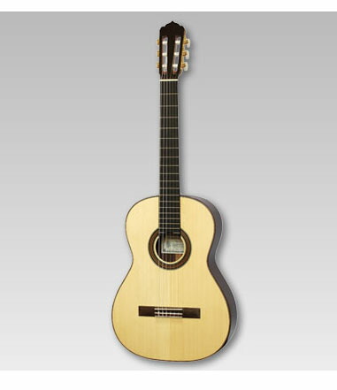 アストリアス アコースティックギター」の人気商品一覧 | 安い商品を