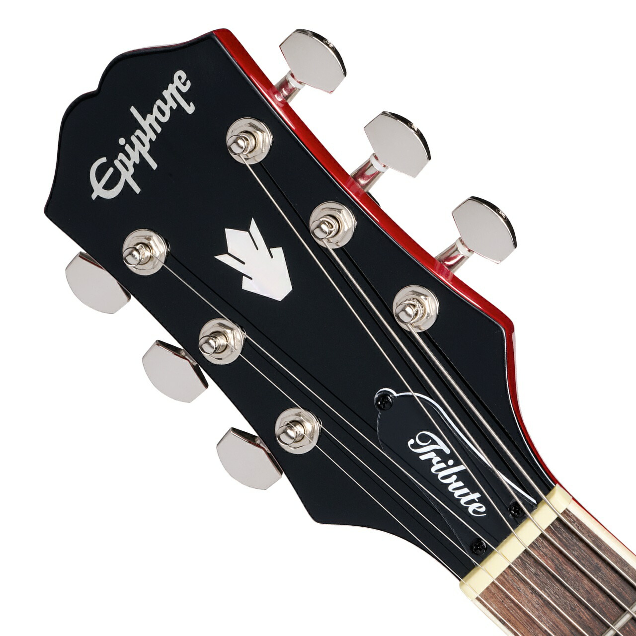 楽天市場】Epiphone エピフォン SG Tribute Cherry Left handed 左用