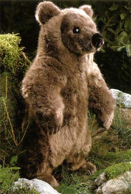 楽天市場】ケーセン Koesen ぬいぐるみ ブラウンベア（大） : 木の