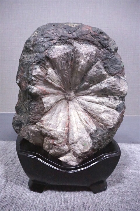 天然石 鑑賞石 菊花石 置物 重さ約1162g N 8802 天然石 鑑賞石 菊花石