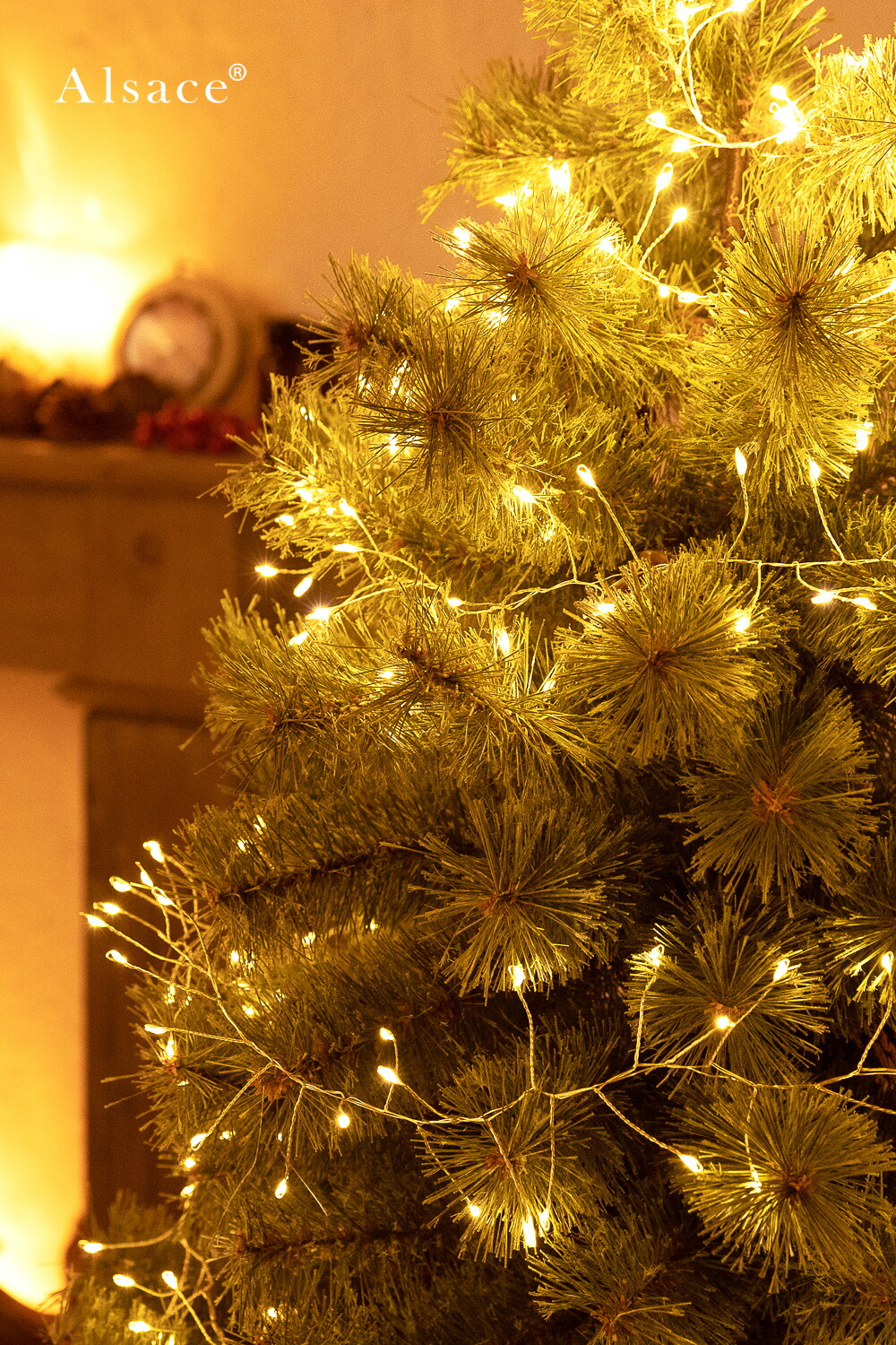 楽天市場】【公式 Alsace(R) 正規品】 イルミネーション ACコンセント