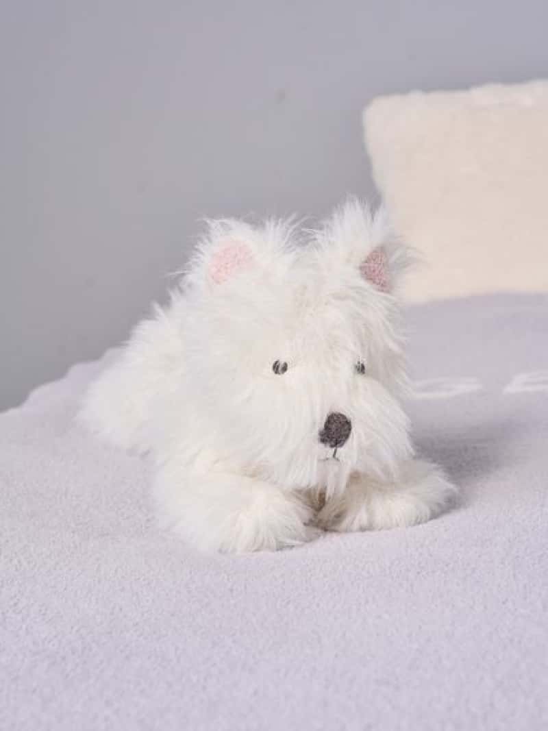 楽天市場】【SALE／30%OFF】【Sleep】ウェスティ くたくたクッション