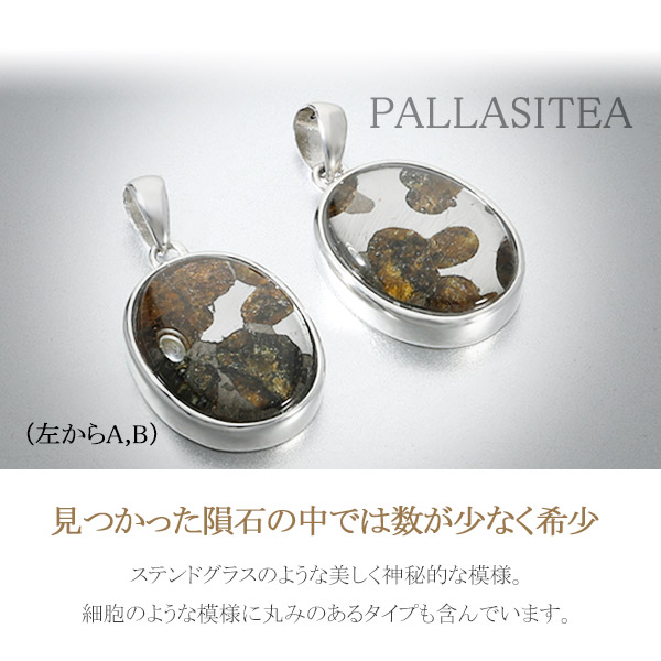 楽天市場】パラサイト 隕石 メテオライト シルバー ペンダントトップ