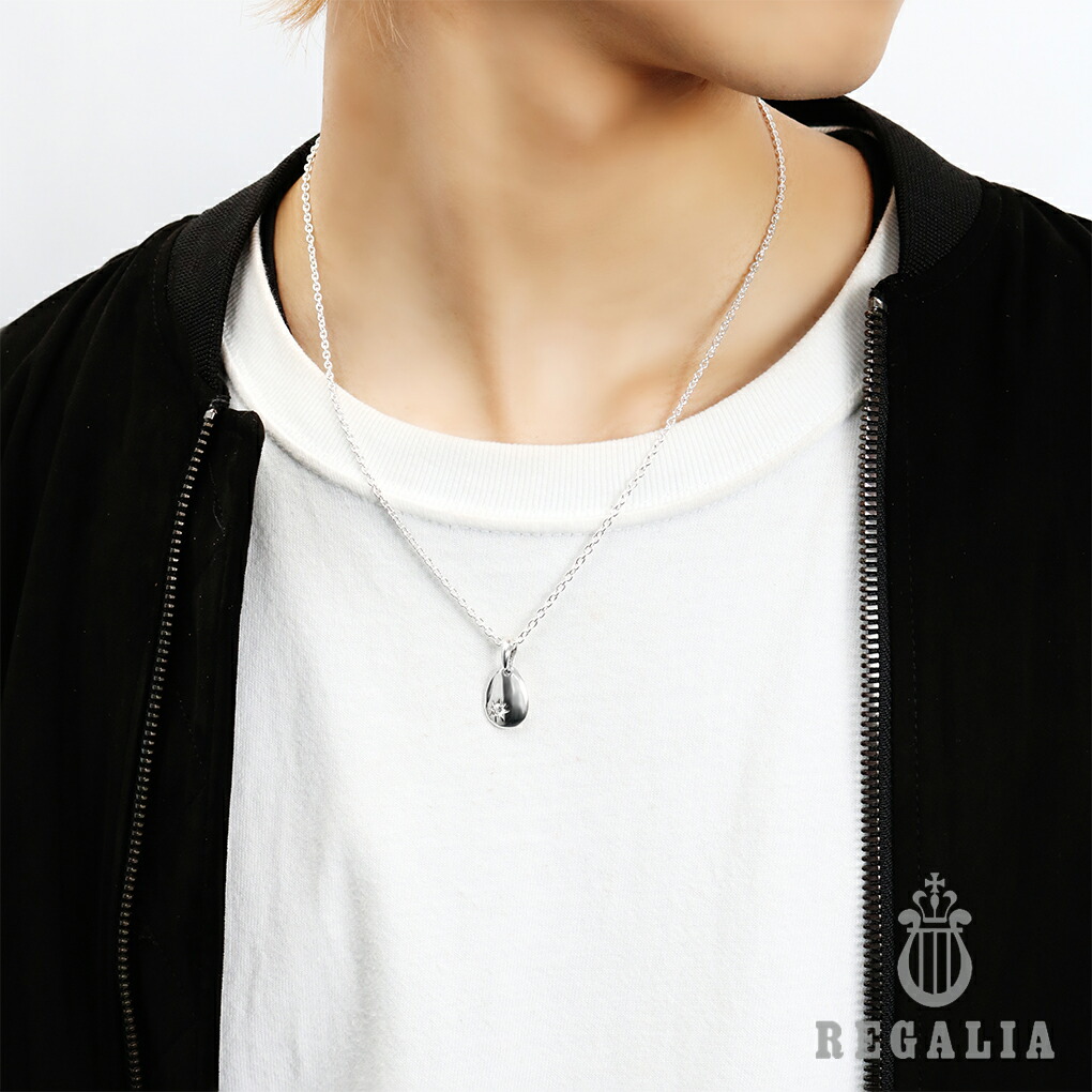 楽天市場】REGALIA ドロップ ジルコニア スター シルバー ネックレス