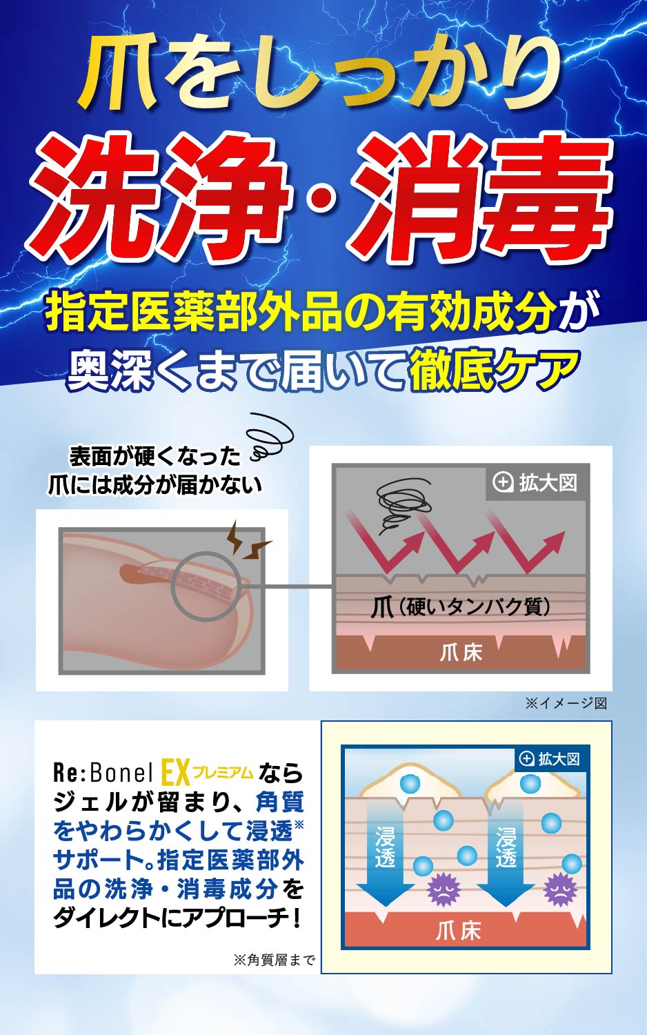 楽天市場】【55%OFF：3/11 01:59迄】公式 グロリアス製薬 Re:Bonel