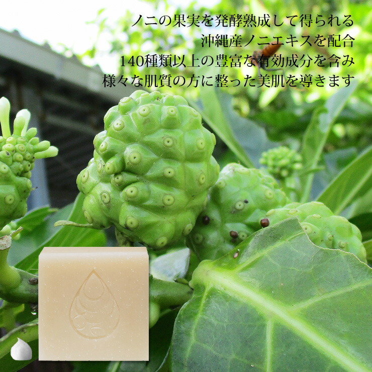 楽天市場】ノニ石鹸（100g）×5個セット｜沖縄県産ノニエキスを配合 肌