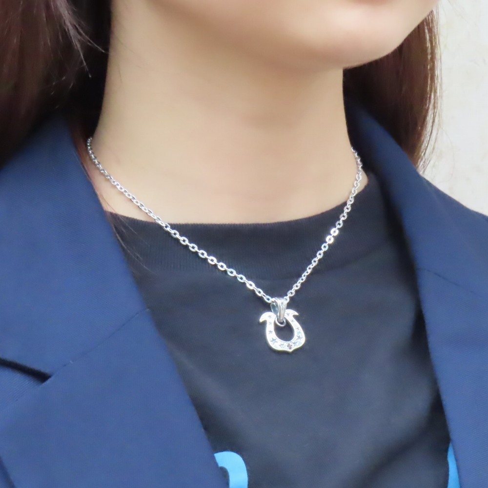 楽天市場】ホースシュースターネックレス シルバー925 【刻印無料