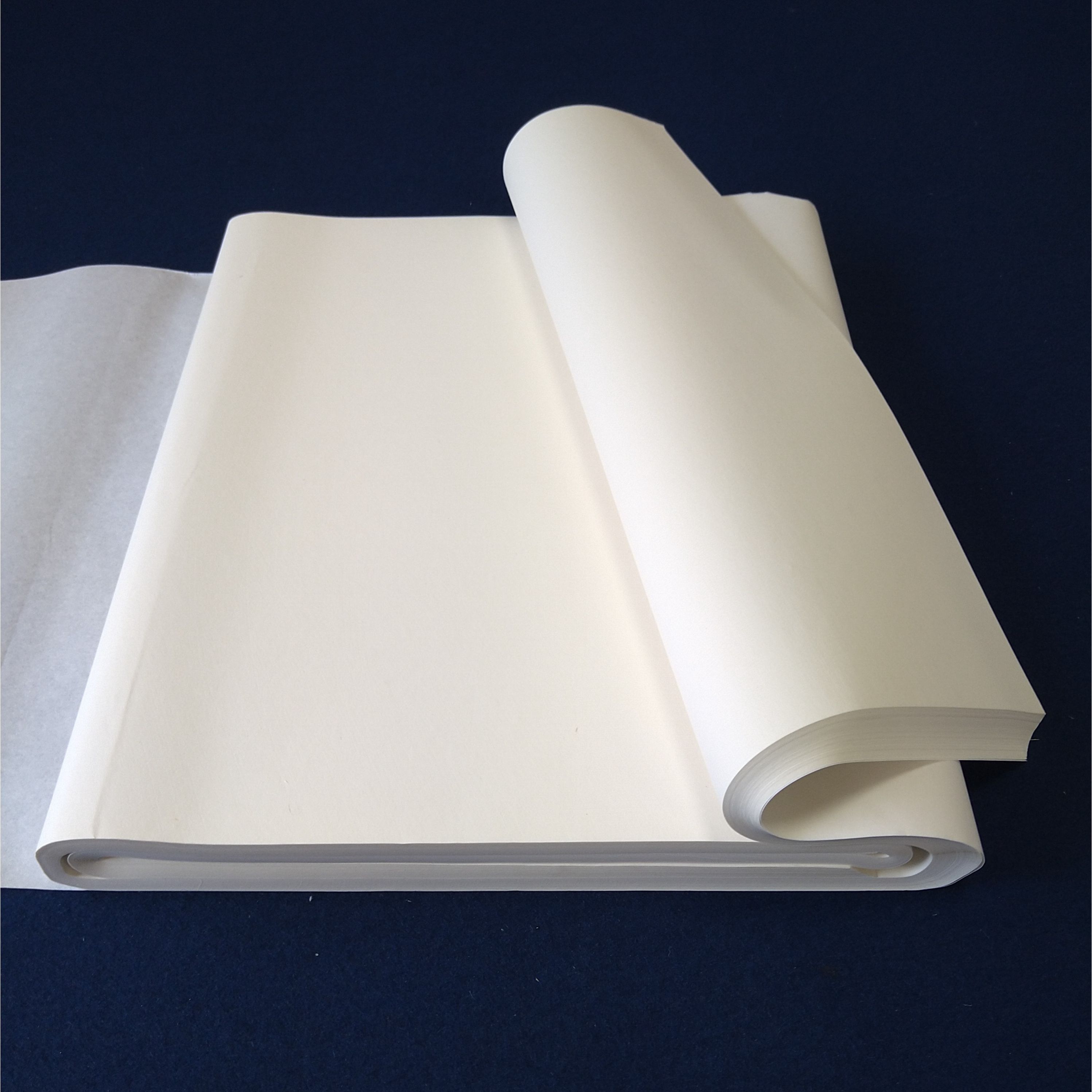 楽天市場】≪ポイント3倍≫ 書道 画仙紙 半切 100枚入り 手漉き 玉潤箋