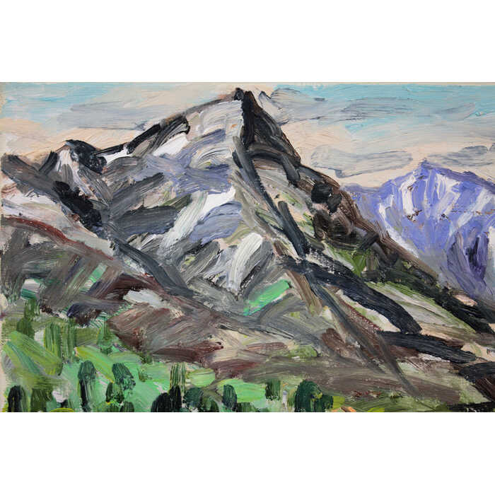 楽天市場】絵画 坂元輝行 油絵・油彩画 『大雪山黒岳』 山 木 自然