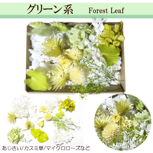 楽天市場】＼10%OFF／ プリザーブドフラワー 花材 【送料無料】キット