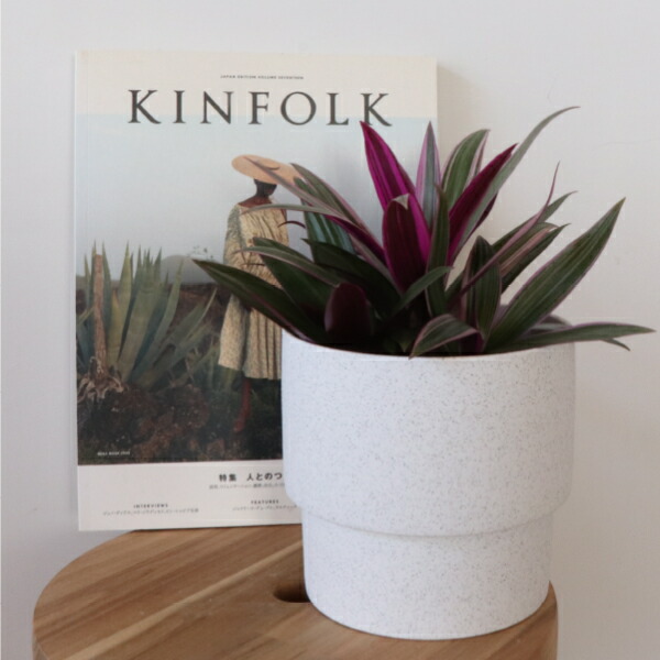 楽天市場】万年青 陶器の通販