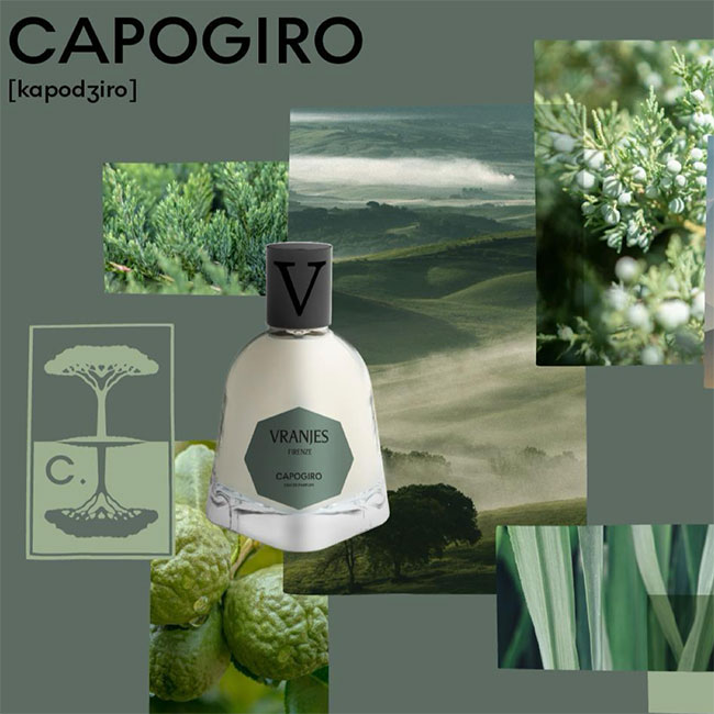 楽天市場】Dr.Vranjes ドットール・ヴラニエス DISCOVERY KIT 1.5ML x