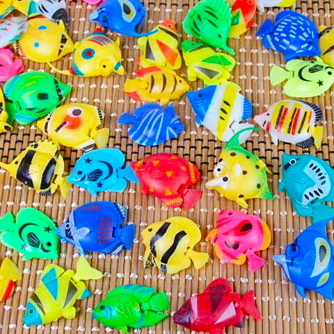 楽天市場】バラエティ熱帯魚 50個セット【鑑賞 観賞用 観賞魚の