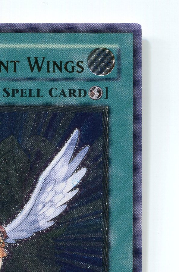 楽天市場】旧アジア版 進化する翼 TRANSCENDENT WINGS CRV-AE045