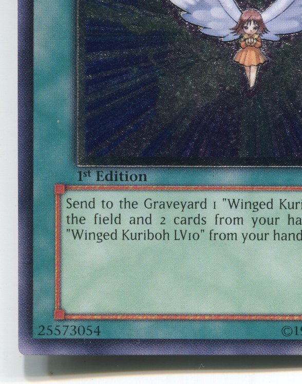 楽天市場】旧アジア版 進化する翼 TRANSCENDENT WINGS CRV-AE045