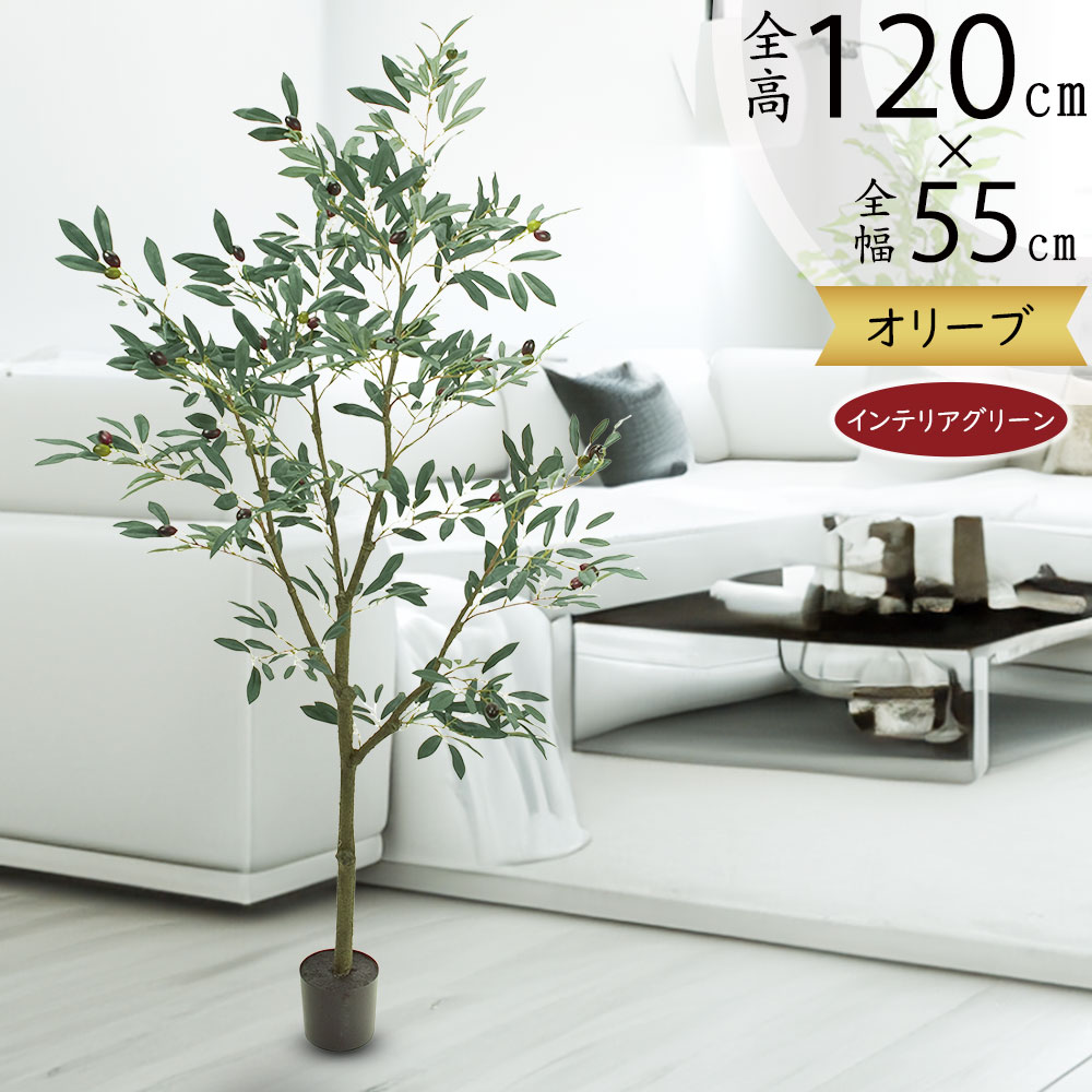 楽天市場】オリーブの木 フェイクグリーン おしゃれ 人気 観葉植物