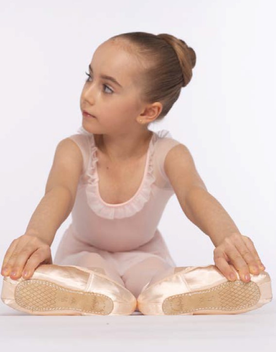 楽天市場】エグザム2007 Exam2007 初心者用 第1段階 グリシコ grishko