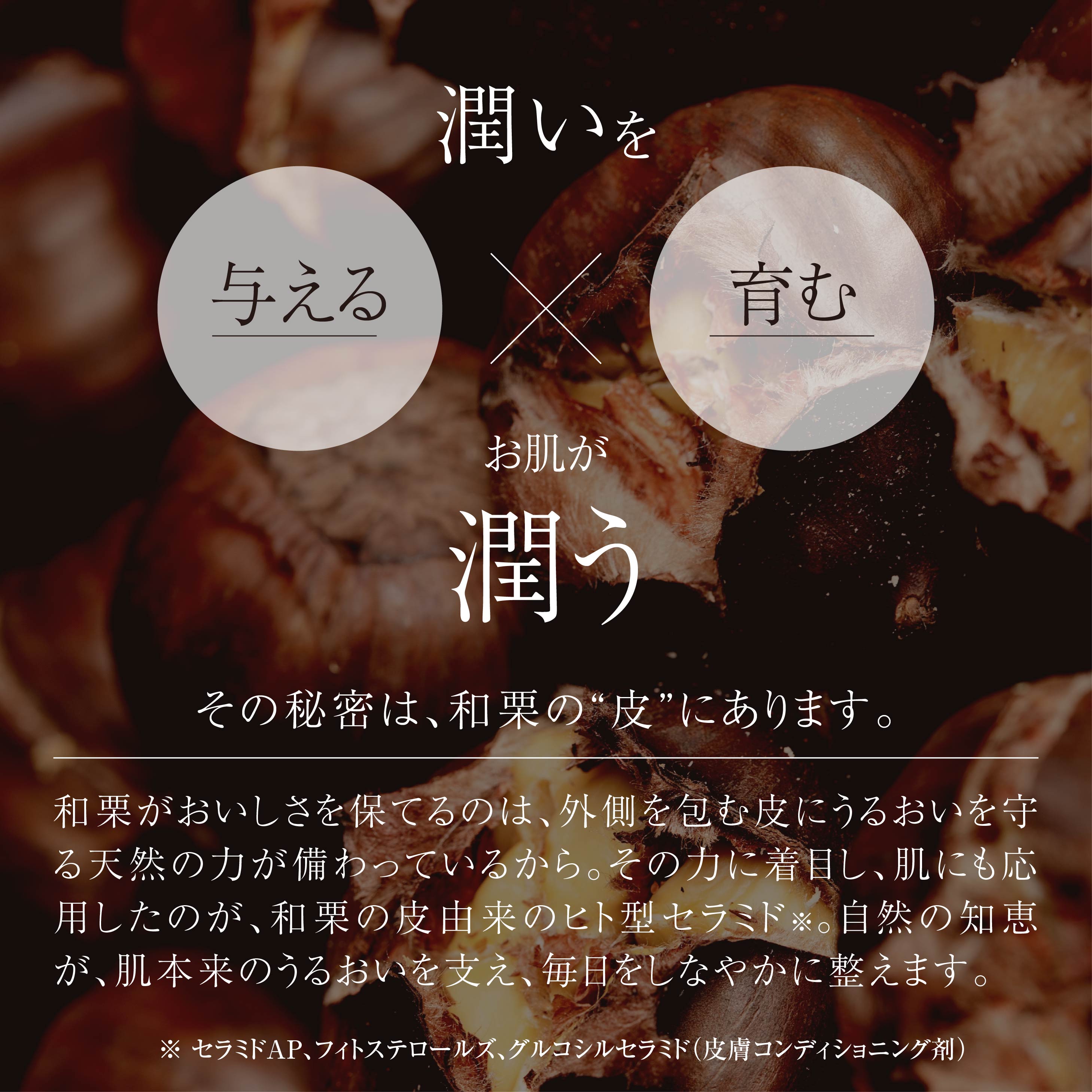 楽天市場】＼期間限定☆70％OFFクーポン／【H nurture 】ハーモニアス