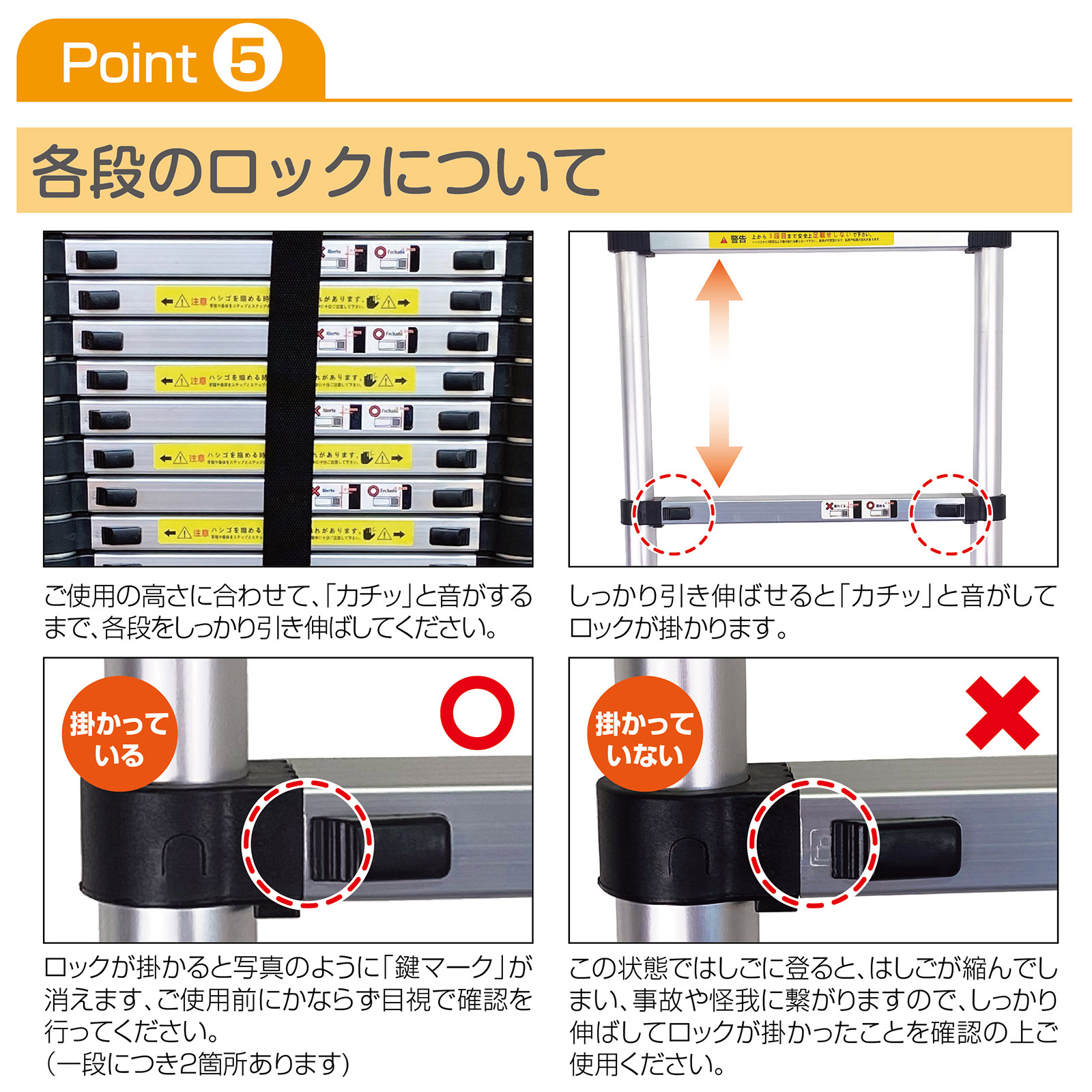 楽天市場】【5日はP最大10倍&1,000円OFFcp！】はしご 伸縮 5M フック