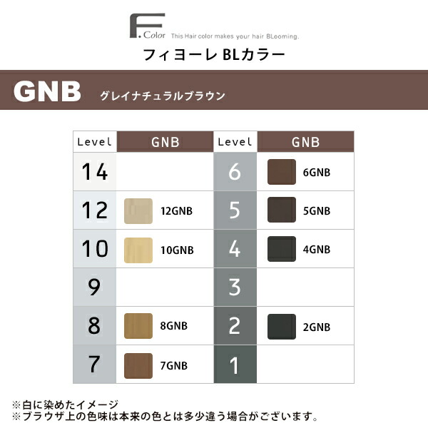 楽天市場】【ガチャで○%クーポンGET】フィヨーレ BLカラー 第1剤