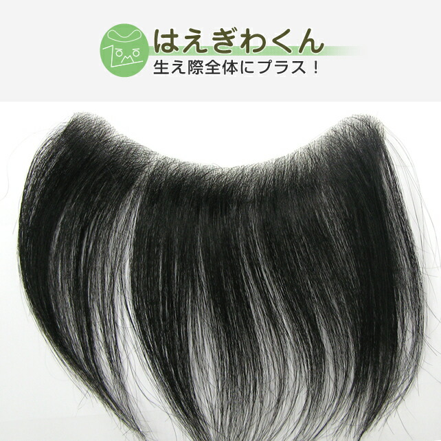 楽天市場】生え際全体にプラス！増毛くんシリーズはえぎわくん【L